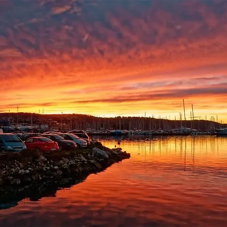 Artemus Karliva Izola