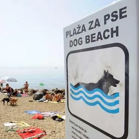 Appartement Artemus Karliva