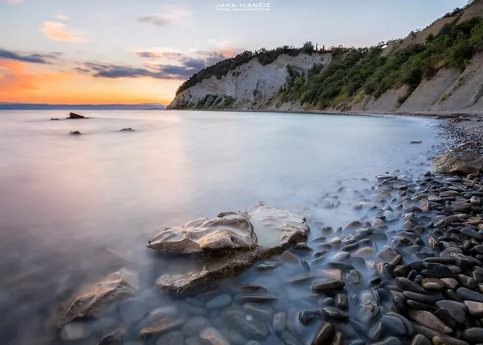 Daire Artemus Karliva