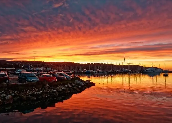 Artemus Karliva Izola