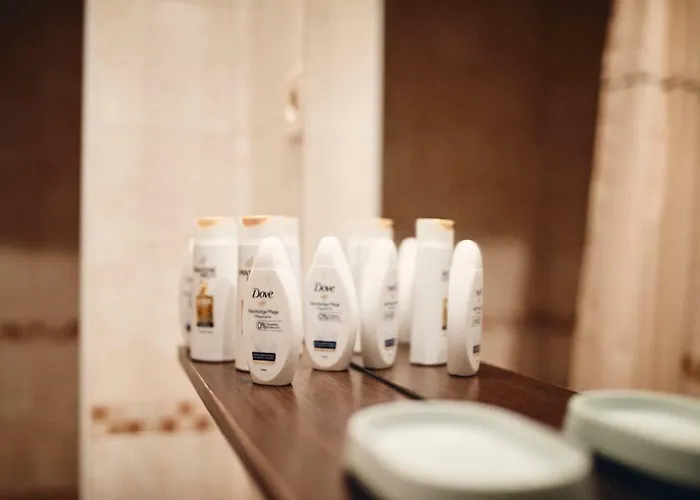 Artemus Karliva アパート イゾラ